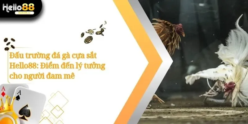 Đá gà cựa sắt