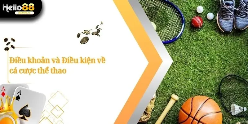 Điều Khoản Và Điều Kiện