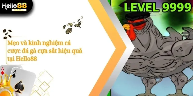 Đá gà cựa sắt