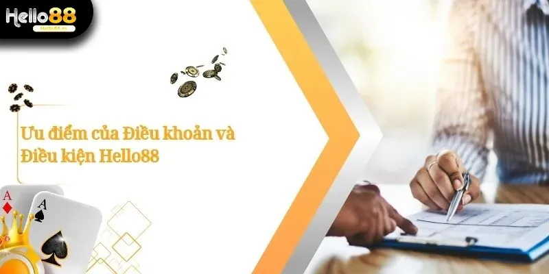 Điều Khoản Và Điều Kiện